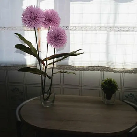 Daire Apartamento Pleno Centro Victoria Parking Gratis